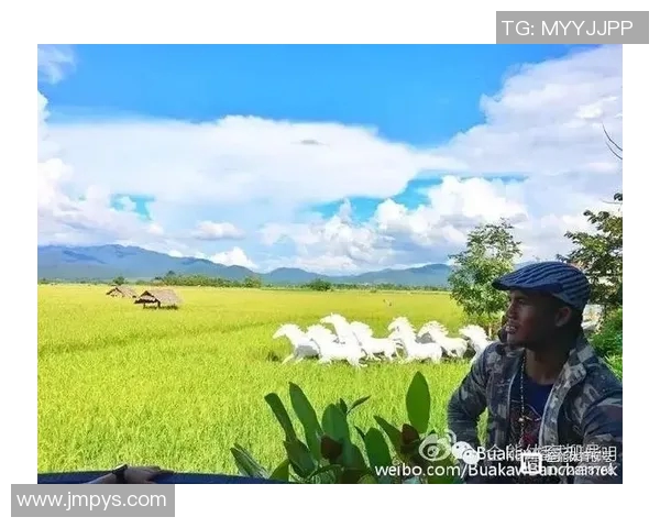 奥卡斯与德芬的精彩对决圆满落幕引发拳迷热议