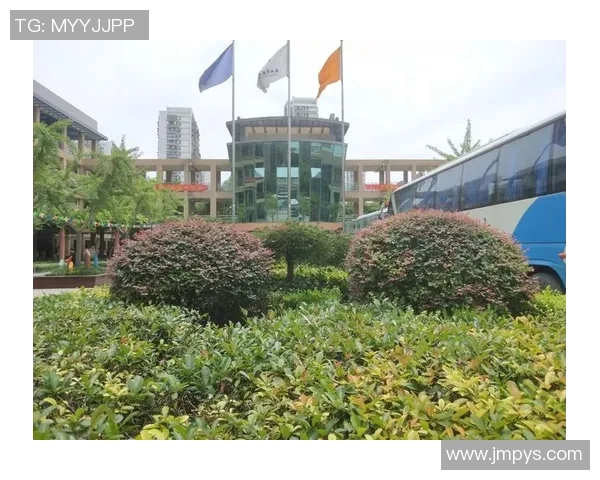 专访李敏：深度剖析足球领域的成功秘诀与未来发展方向